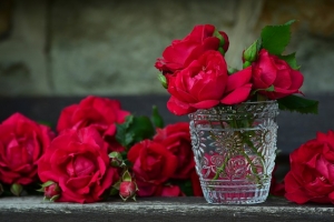 Rosen