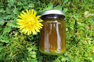 Löwenzahnblütenmarmelade-Rezept